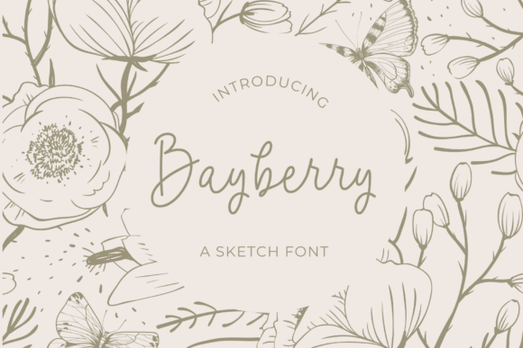 Bayberry: The Handwritten Font That Stops the Scroll
