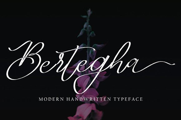 Elevate Your Brand Identity with the Bertegha Typeface