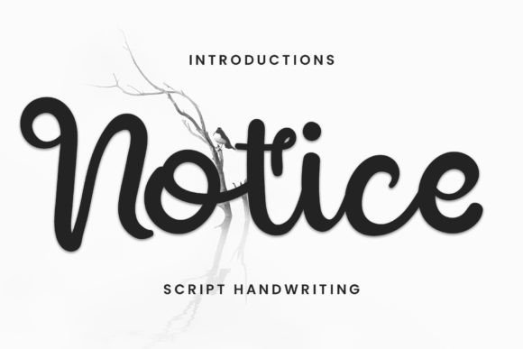 Notice: The Handwritten Font That Stops the Scroll