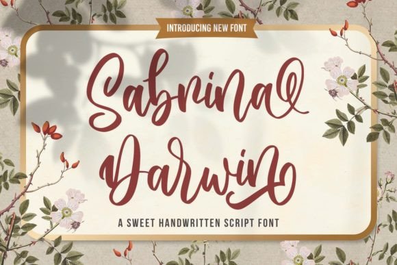 Sabrina Darwin Font: The Perfect Handwritten Typeface for Makers