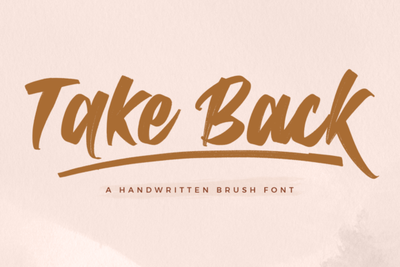 Take Back Font Review: A Versatile Script for Branding