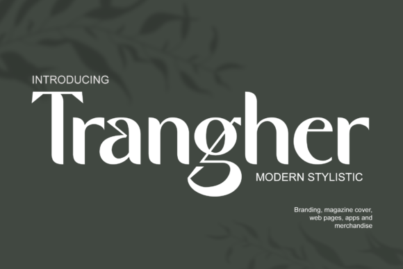 Trangher: A Modern Slab Serif Typeface for Bold Web Design