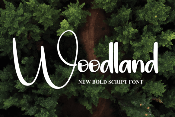 Woodland Font: Bold Typography for Web Design